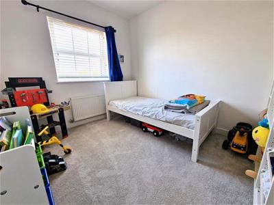 Picture 7